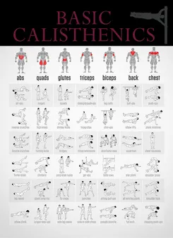 Calisthenics Workouts for All Fitness Levels